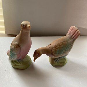 Vintage Bisque Porcelain Bird Salt and Pepper Shakers Set